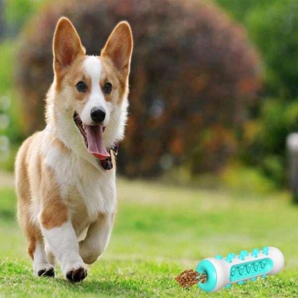 Juguete para Limpiar los Dientes del Perro - Imagen 11